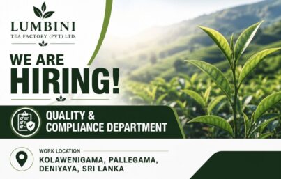 Lumbini Tea Factory (Pvt) Ltd Recruitment| Junior Compliance Executive | Apply Now