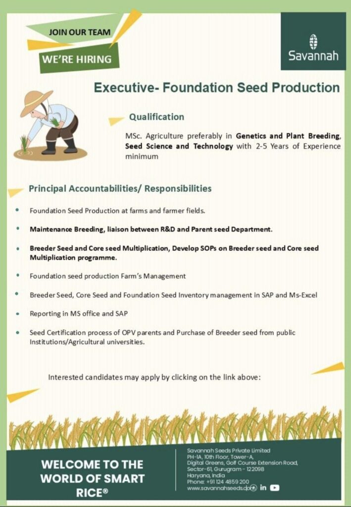 Savannah Seeds Recruitment– Executive, Foundation Seed Production