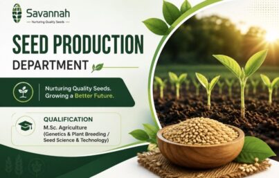 Savannah Seeds Recruitment– Executive, Foundation Seed Production
