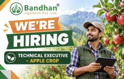 Bandhan Agritech Recruitment– Technical Executive (Apple Crop)
