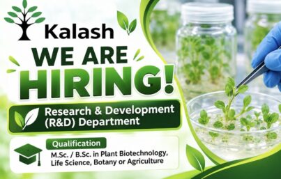 Kalash Seeds Recruitment: Tissue Culture Specialist Jobs in Jalna, Maharashtra
