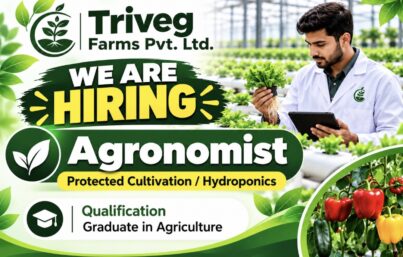 Triveg Farms Pvt. Ltd. Recruitment: Hiring Agronomist – Protected Cultivation / Hydroponics